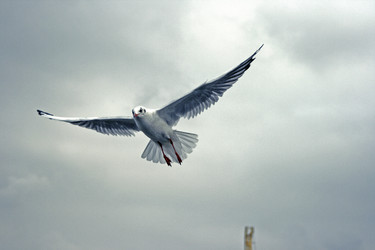 Similar image 1422270