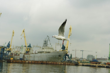 Similar image 1422271