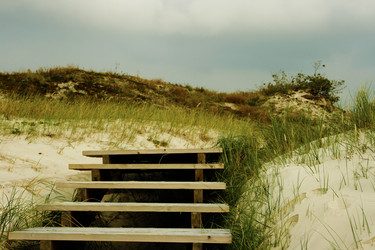 Similar image 1422276