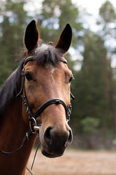 Similar image 1422278