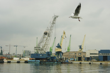 Similar image 1422281