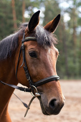 Similar image 1422292