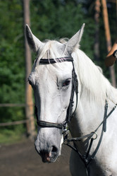 Similar image 1422293