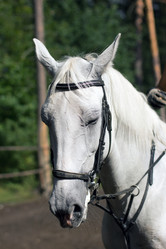 Similar image 1422294