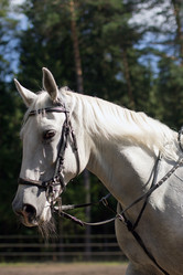 Similar image 1422295