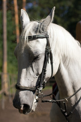 Similar image 1422296