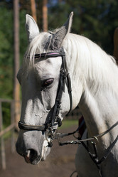 Similar image 1422297