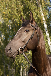 Similar image 1422298