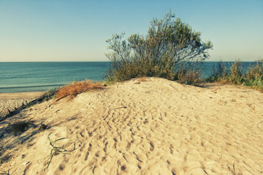 Similar image 1422310