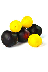 Similar image 1422332