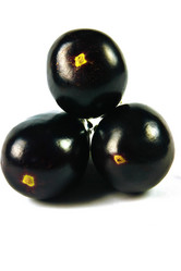 Similar image 1422336