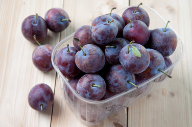 Similar image 1422342