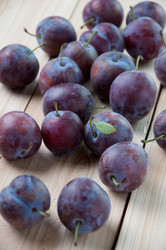 Similar image 1422350