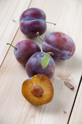 Similar image 1422354