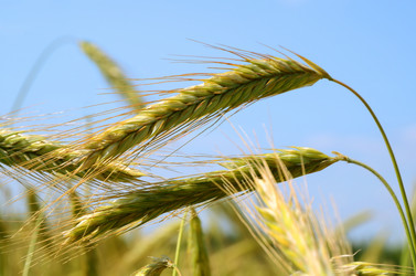 Similar image 1422363