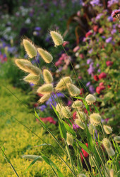 Similar image 1422374