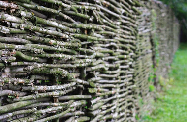 Similar image 1422375