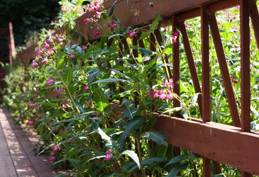 Similar image 1422376