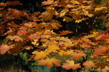 Similar image 1422381