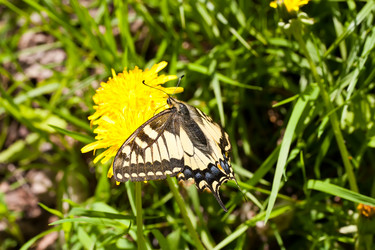 Similar image 1422426