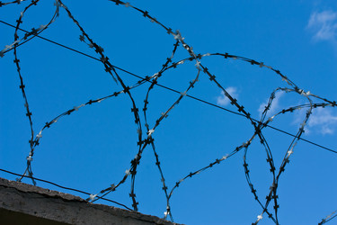 Similar image 1422429