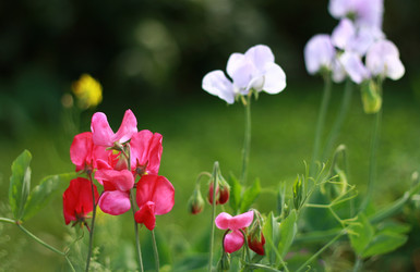 Similar image 1422453