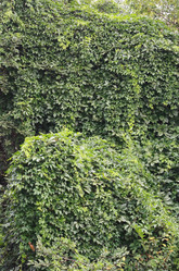 Similar image 1422454