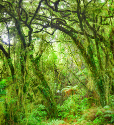 Similar image 1422490