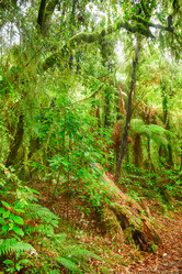 Similar image 1422495