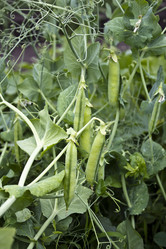 Similar image 1422651