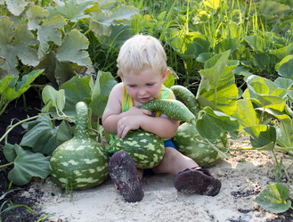 Similar image 1422659