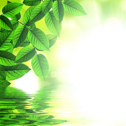 Similar image 1422704