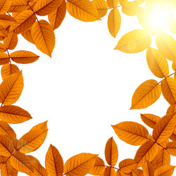 Similar image 1422710