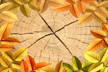 Similar image 1422716