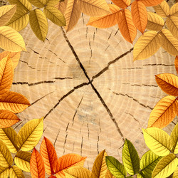 Similar image 1422717