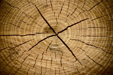 Similar image 1422718