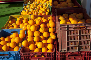 Similar image 1422727