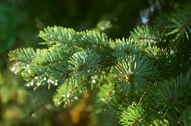 Similar image 1422732