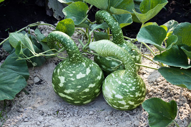 Similar image 1422736