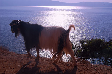 Similar image 1422760