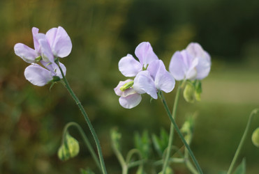 Similar image 1422785