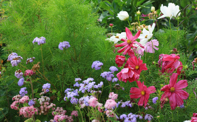 Similar image 1422811