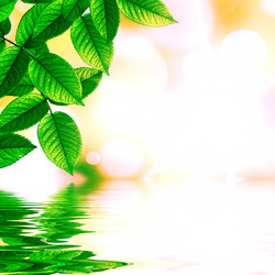 Similar image 1422874