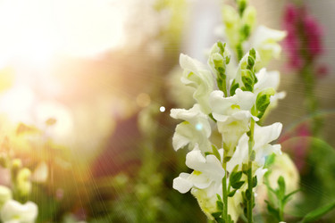 Similar image 1422878