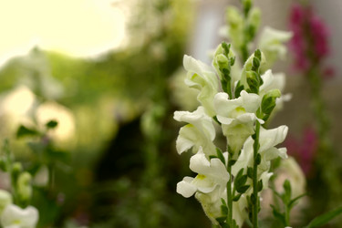 Similar image 1422879