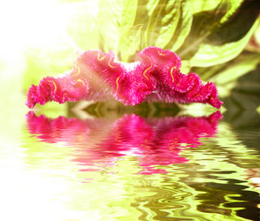 Similar image 1422882