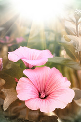 Similar image 1422886