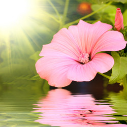 Similar image 1422887