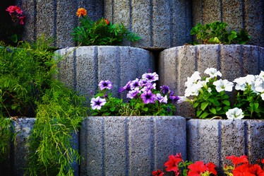 Similar image 1422898