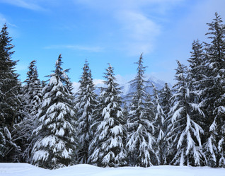 Similar image 1422928